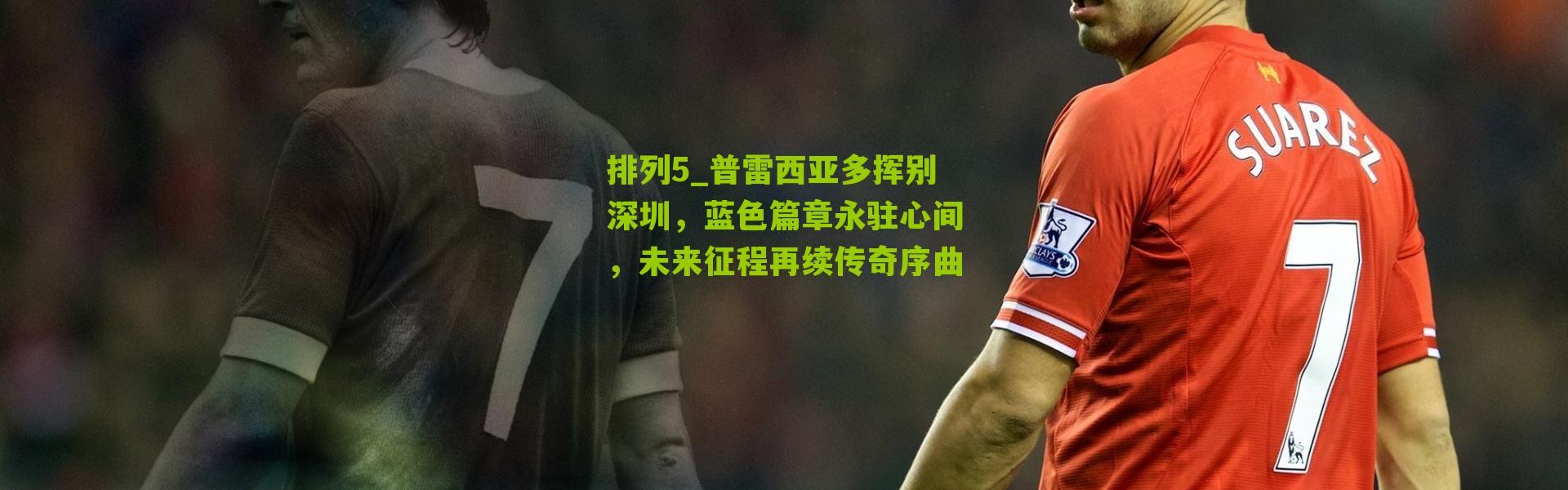 排列5_普雷西亚多挥别深圳，蓝色篇章永驻心间，未来征程再续传奇序曲