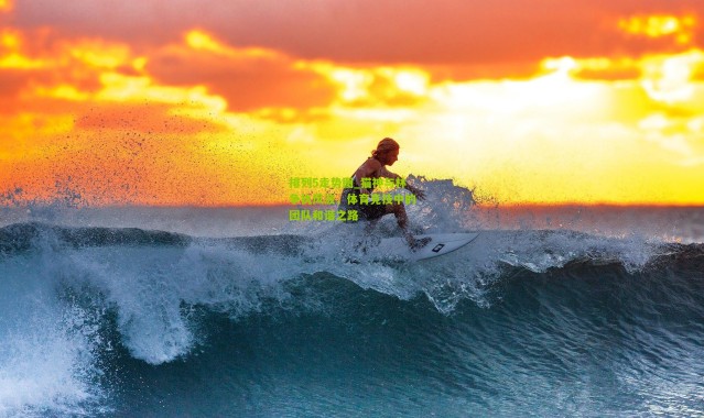 排列5走势图_猫神与林争执风波，体育竞技中的团队和谐之路