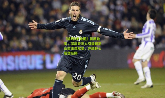 【排列5走势图】苗原独家，深圳青年人引援锁定云南玉昆双星，冲超野心昭然若揭