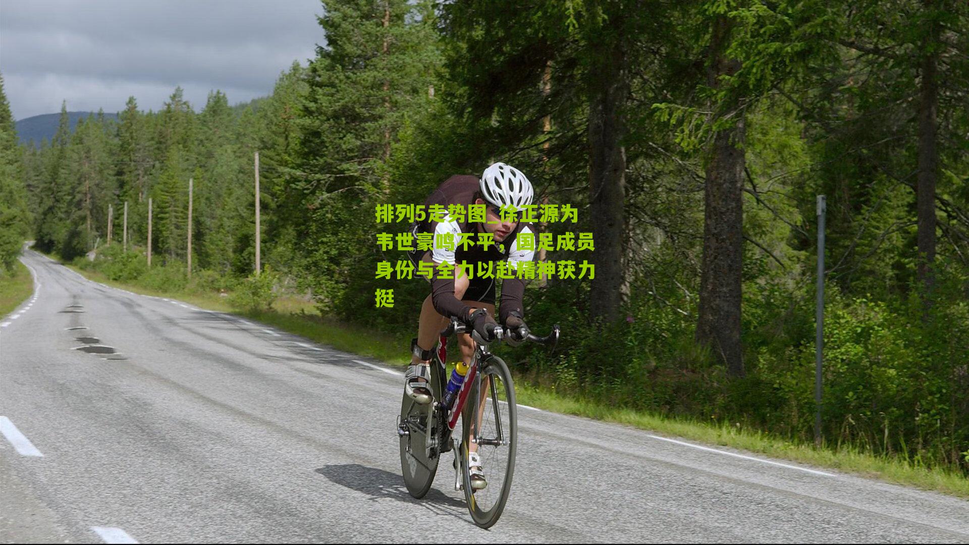 徐正源为韦世豪鸣不平，国足成员身份与全力以赴精神获力挺